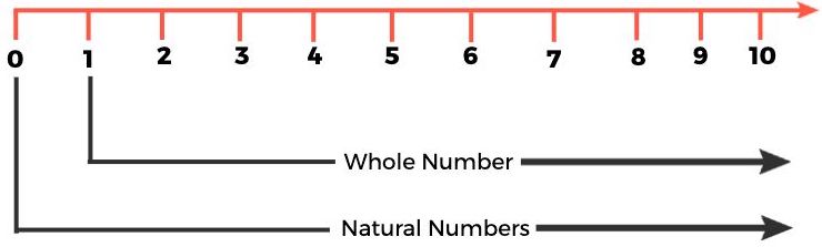 Whole Numbers on Number Line