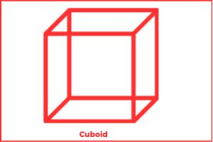 Cuboid