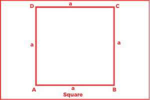 Square