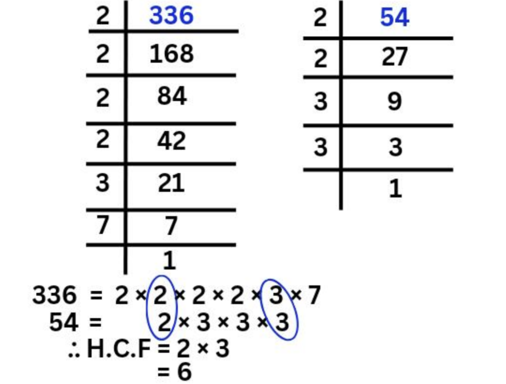 Real Number