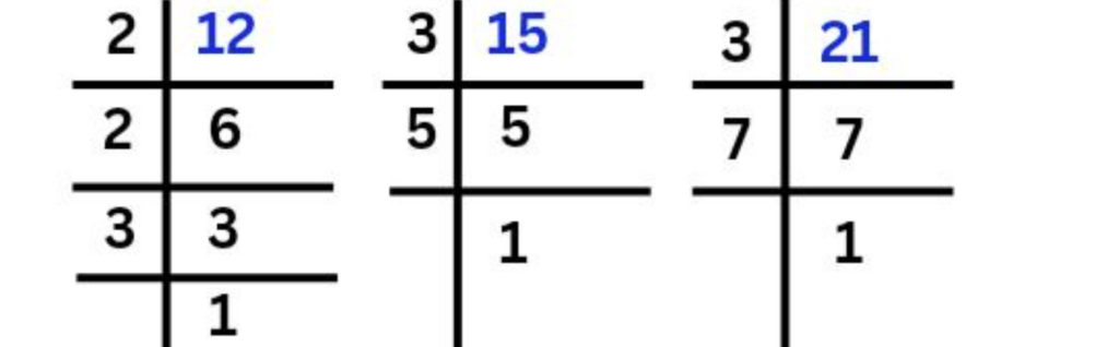 Real Number